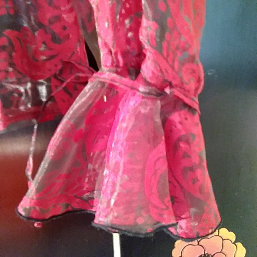 SheerSophisticated and Elegant shirt - Picture 3 of 8